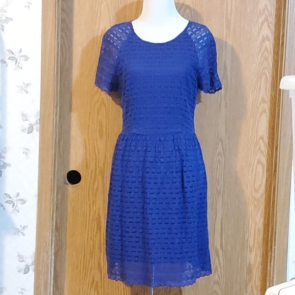 Free People lace mini dress cobalt blue cotton blend size 8 - Picture 3 of 10